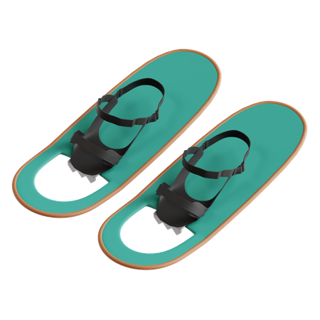 Snowshoeing  3D Icon
