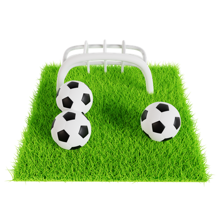 Soccer Balls on Green Field  3D Icon