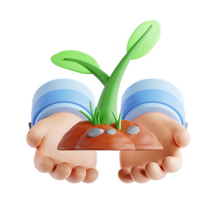 Soin des plantes  3D Icon