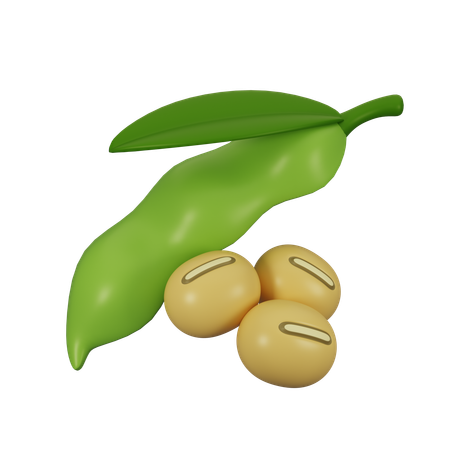 Soja  3D Icon