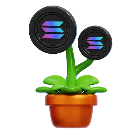 Solana Plant  3D Icon