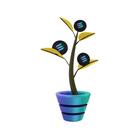 Solana tree growing  3D Illustration