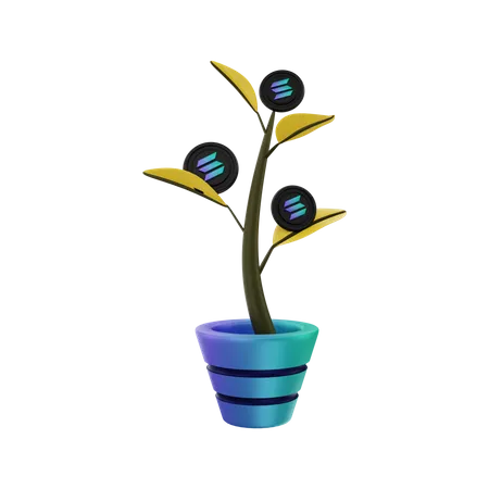 Solana tree growing  3D Illustration