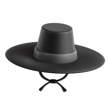 Sombrero coreano  3D Icon