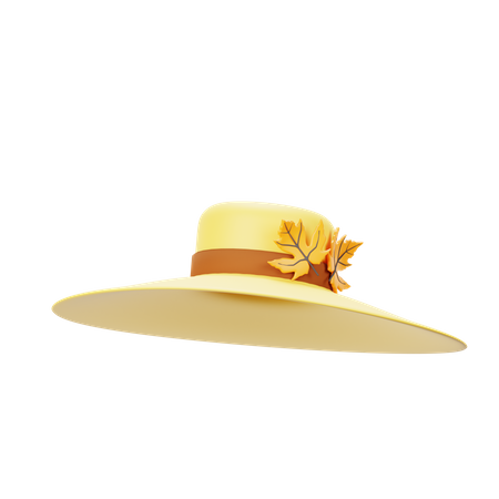 Sombrero redondo  3D Icon