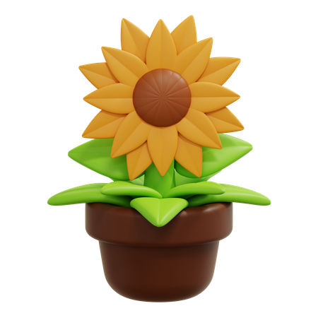 Sonnenblume  3D Icon