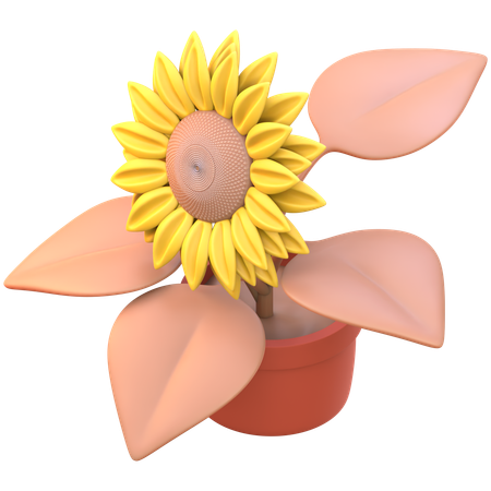 Sonnenblume  3D Icon