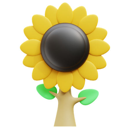 Sonnenblume  3D Icon