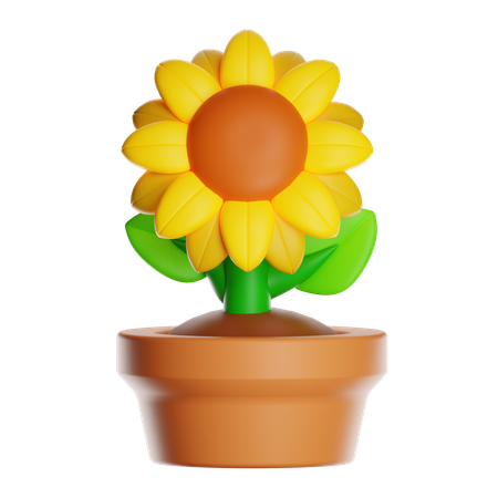 Sonnenblume  3D Icon