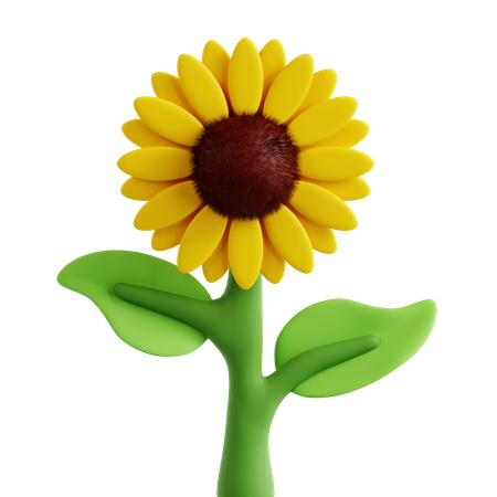 Sonnenblume  3D Icon