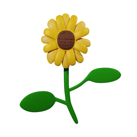 Sonnenblume  3D Icon