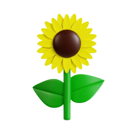 Sonnenblume  3D Icon