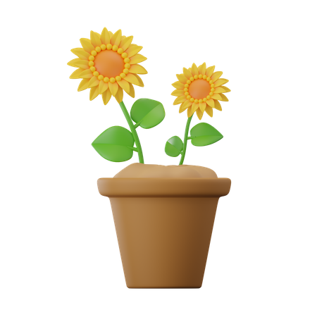 Sonnenblume  3D Icon