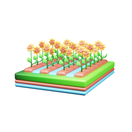 Sonnenblumenfarm  3D Icon