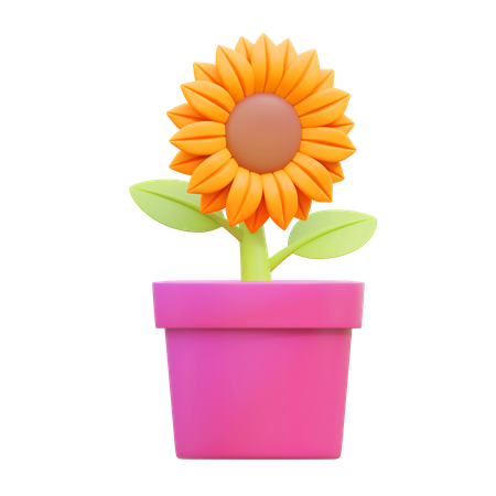 Sonnenblumentopf  3D Icon