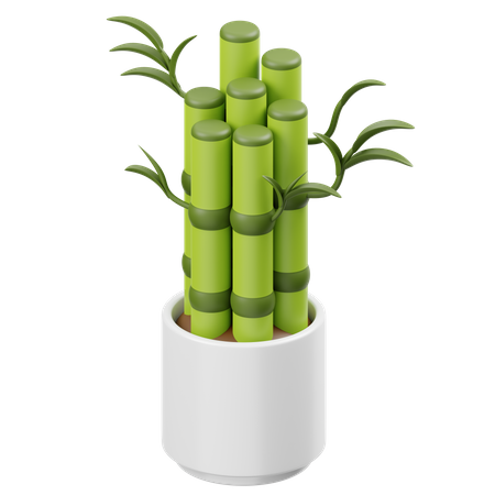Bambu da sorte  3D Icon