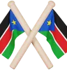 South Sudan Flag