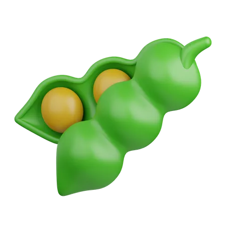 Soybean  3D Icon