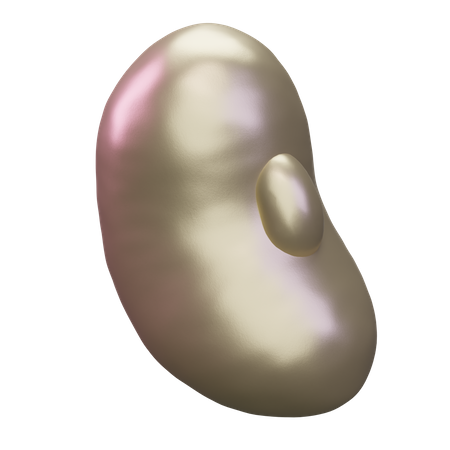 Soybean  3D Icon