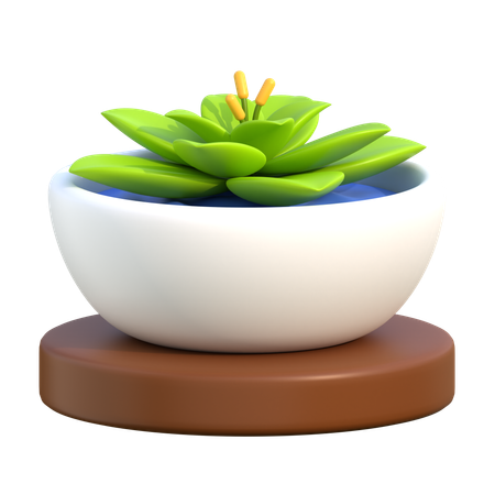 Spa de flores  3D Icon