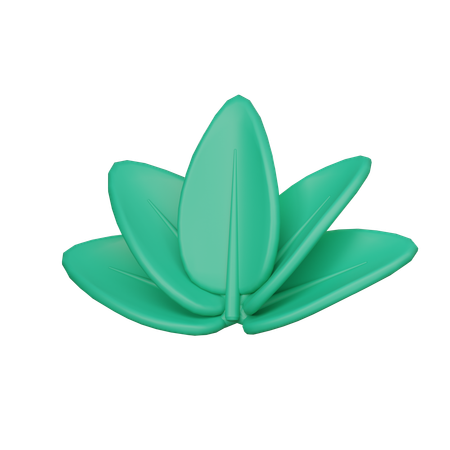 Spa Flower  3D Icon
