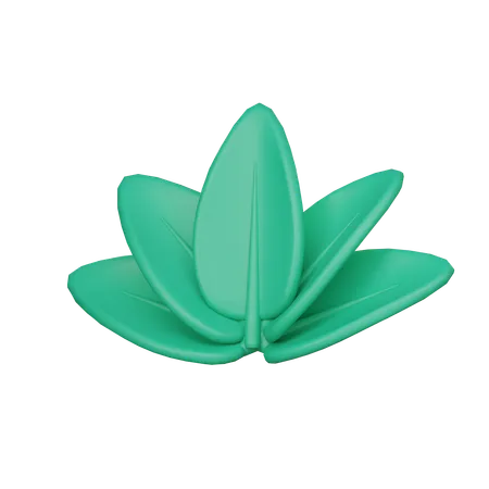Spa Flower  3D Icon