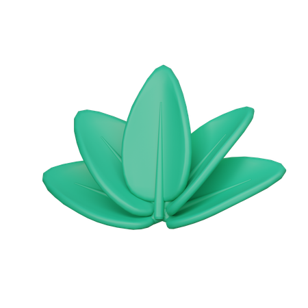 Spa Flower  3D Icon