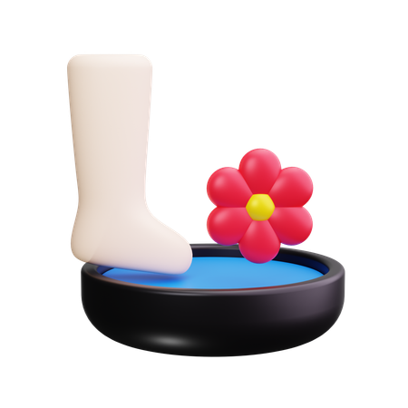 Spa pour les pieds  3D Icon