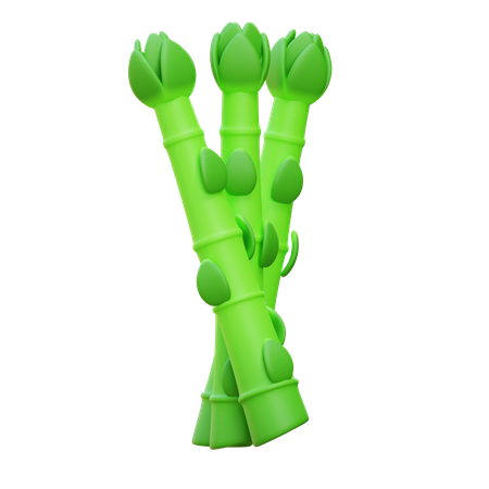 Spargel  3D Icon