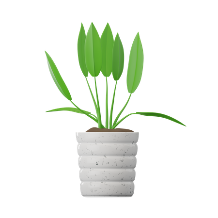 Spathiphyllum-Pflanze  3D Icon