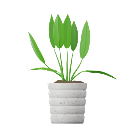 Spathiphyllum-Pflanze  3D Icon