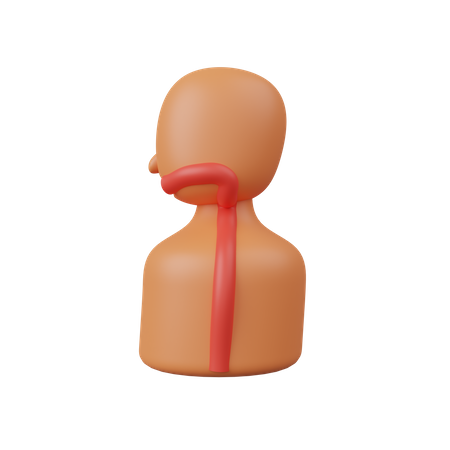 Speiseröhre  3D Icon