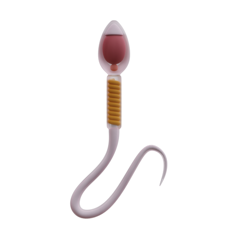 Sperm  3D Icon