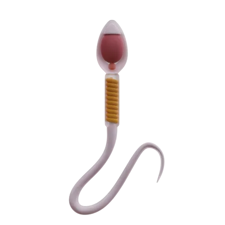 Sperm  3D Icon