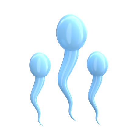 Sperm  3D Icon