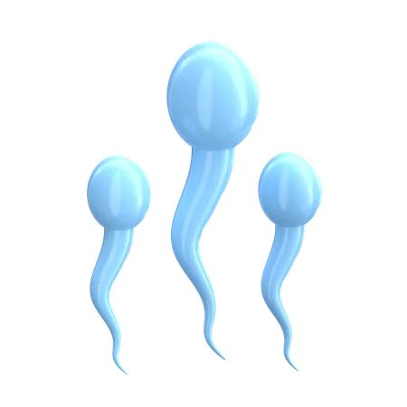 Sperm  3D Icon