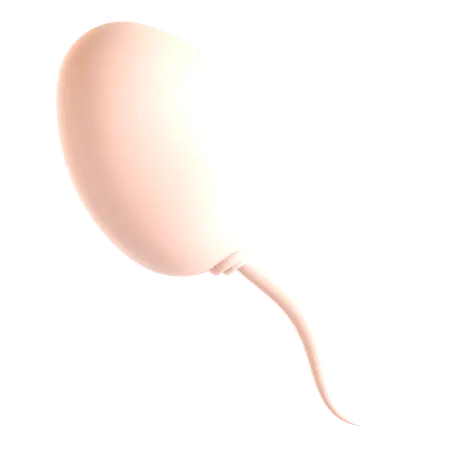 Sperm  3D Icon