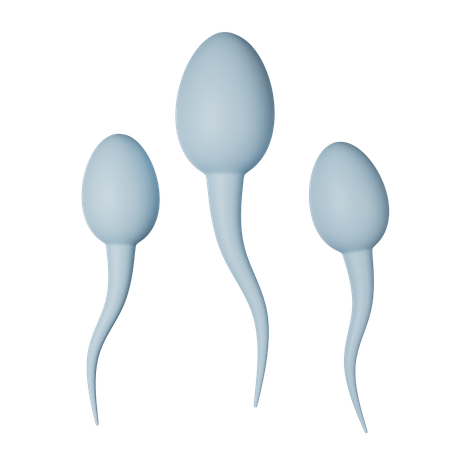 Sperm  3D Icon