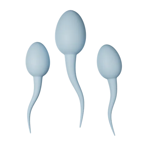 Sperm  3D Icon