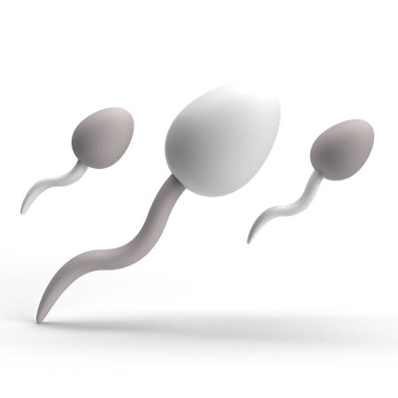 Sperm  3D Icon