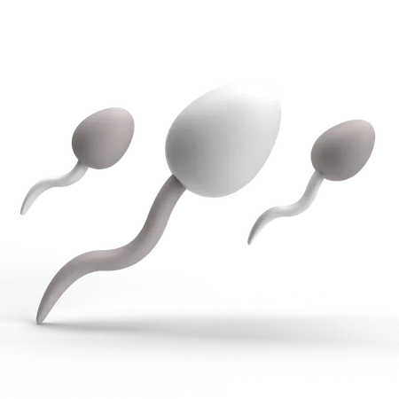 Sperm  3D Icon