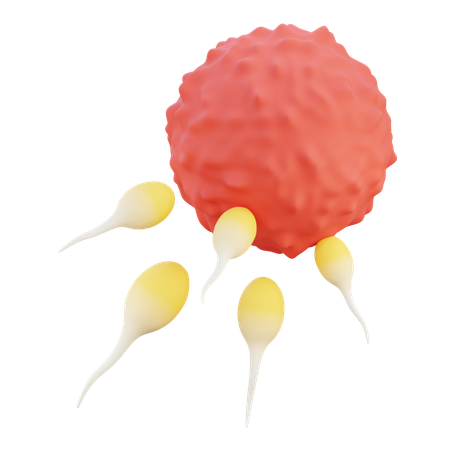 Sperm  3D Icon