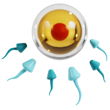 Sperm and Egg Fertilization Process  3D Icon