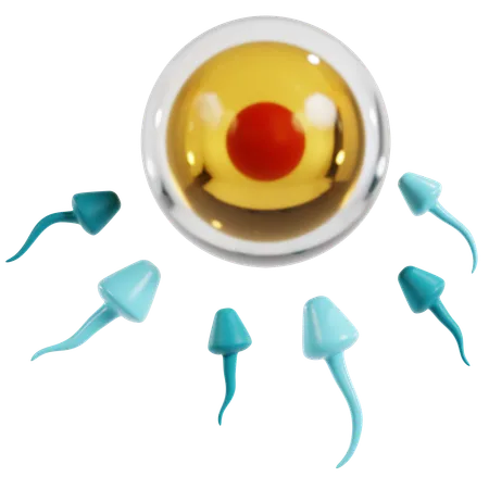 Sperm and Egg Fertilization Process  3D Icon