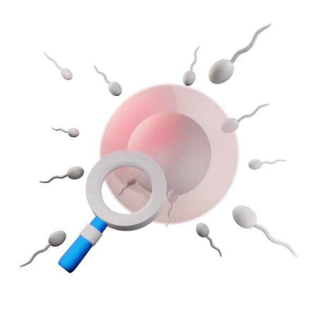 Spermatozoa  3D Icon