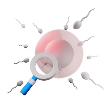 Spermatozoi  3D Icon