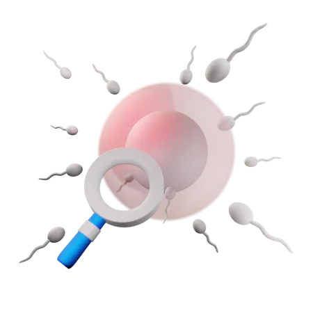 Spermatozoi  3D Icon