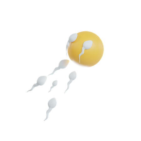 Sperms  3D Icon