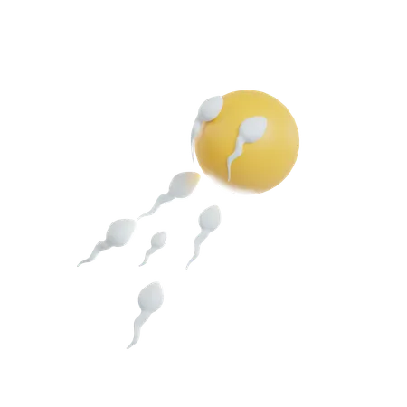 Sperms  3D Icon