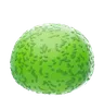 Spherical Evergreen Bush